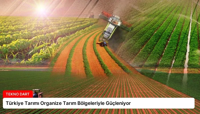 Türkiye Tarımı Organize Tarım Bölgeleriyle Güçleniyor
