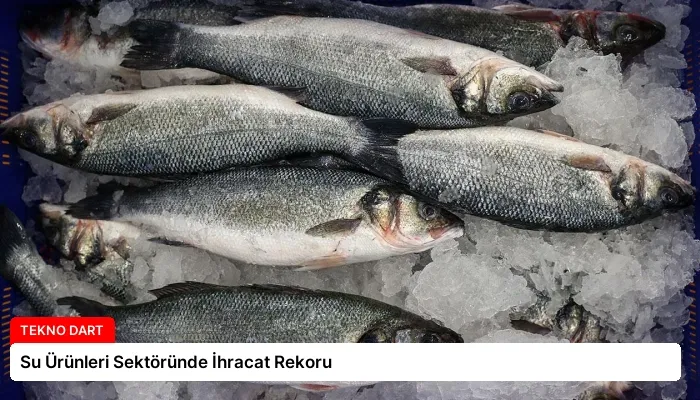 Su Ürünleri Sektöründe İhracat Rekoru