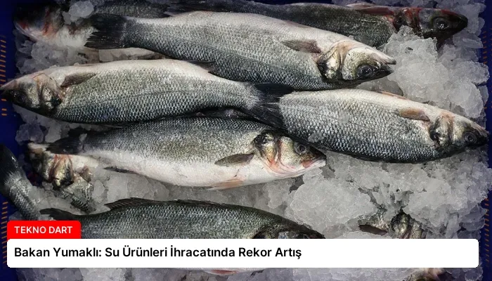 Bakan Yumaklı: Su Ürünleri İhracatında Rekor Artış