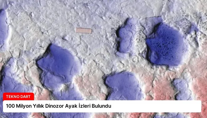 100 Milyon Yıllık Dinozor Ayak İzleri Bulundu