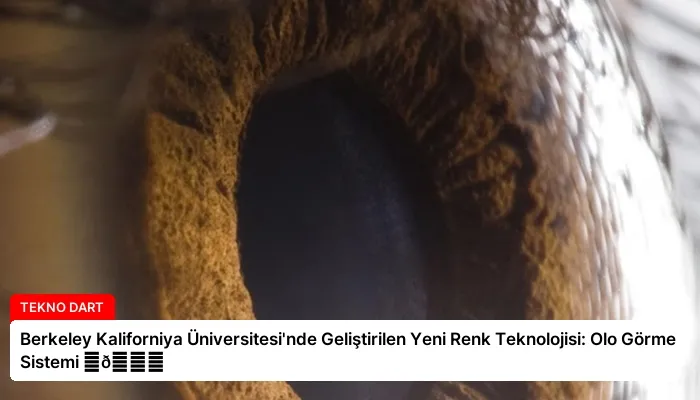 Berkeley Kaliforniya Üniversitesi’nde Geliştirilen Yeni Renk Teknolojisi: Olo Görme Sistemi ⏬👇
