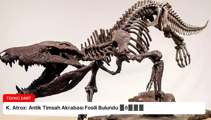K. Atrox: Antik Timsah Akrabası Fosili Bulundu ⏬👇