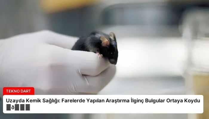 Uzayda Kemik Sağlığı: Farelerde Yapılan Araştırma İlginç Bulgular Ortaya Koydu ⏬👇