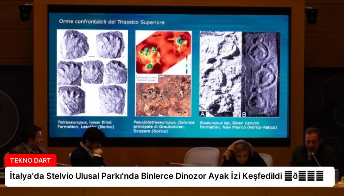 İtalya’da Stelvio Ulusal Parkı’nda Binlerce Dinozor Ayak İzi Keşfedildi ⏬👇