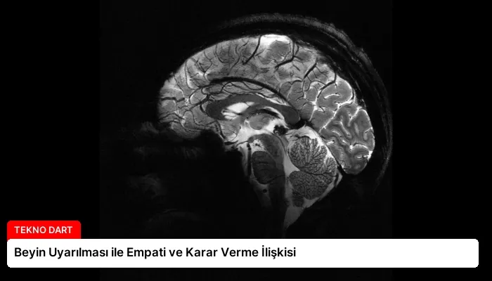 Beyin Uyarılması ile Empati ve Karar Verme İlişkisi