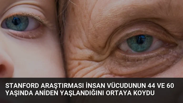 Stanford Araştırması İnsan Vücudunun 44 ve 60 Yaşında Aniden Yaşlandığını Ortaya Koydu