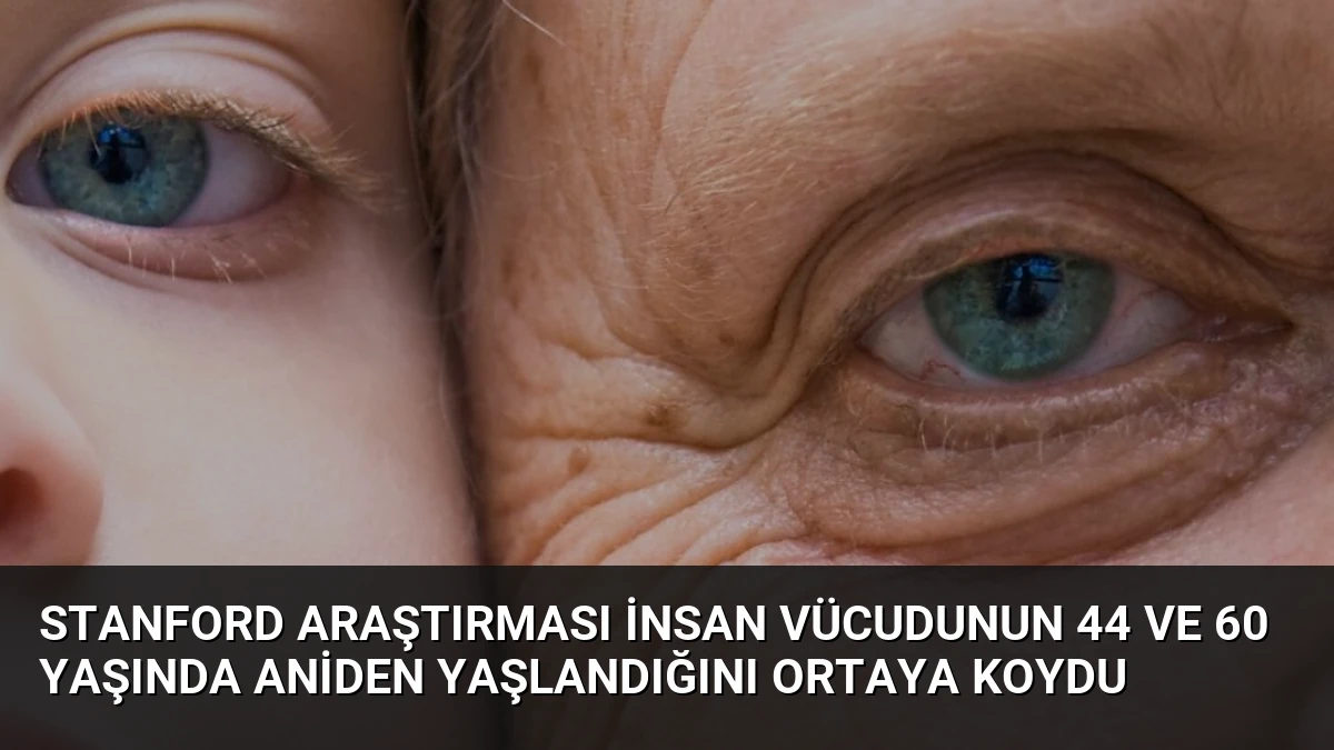 Stanford Araştırması İnsan Vücudunun 44 ve 60 Yaşında Aniden Yaşlandığını Ortaya Koydu