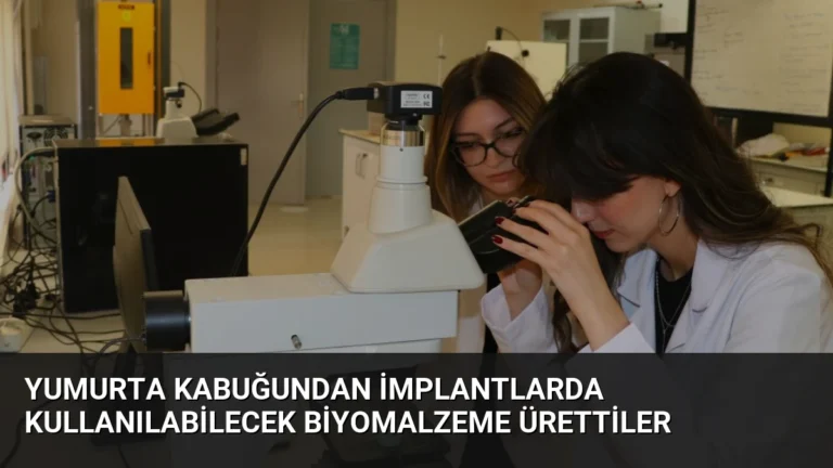 Yumurta kabuğundan implantlarda kullanılabilecek biyomalzeme ürettiler