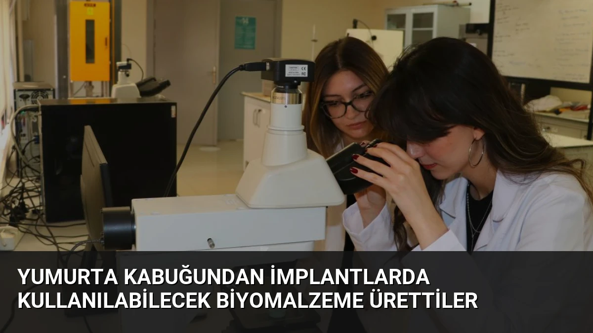 Yumurta kabuğundan implantlarda kullanılabilecek biyomalzeme ürettiler