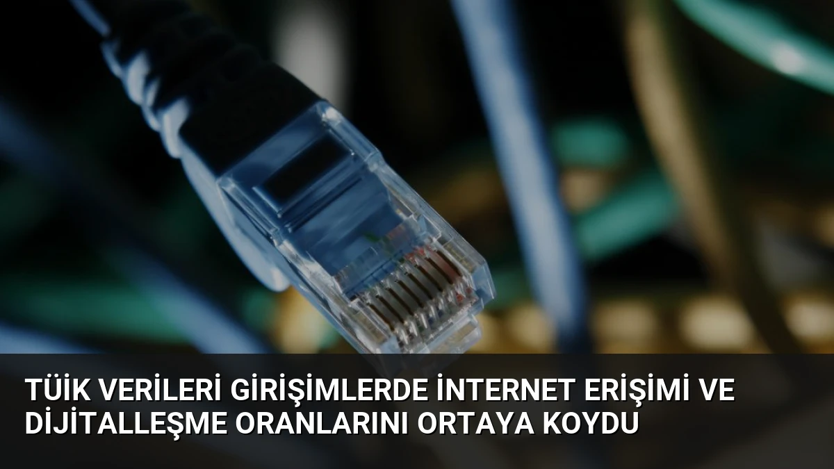TÜİK Verileri Girişimlerde İnternet Erişimi ve Dijitalleşme Oranlarını Ortaya Koydu